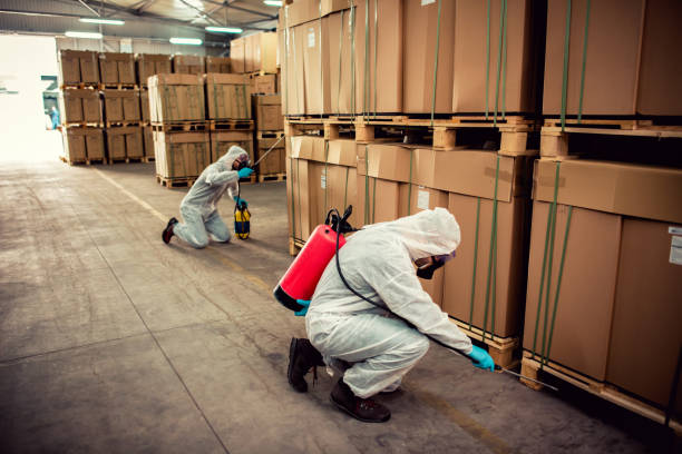 Best Pest Removal Services  in Daingerfield, TX