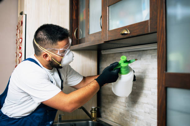 Best Pest Removal Services  in Daingerfield, TX