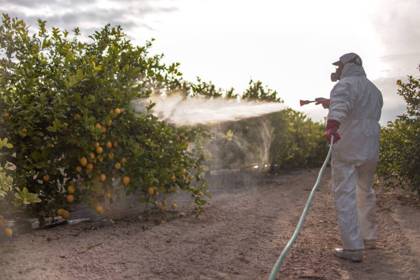 Best Wildlife Control Services  in Daingerfield, TX