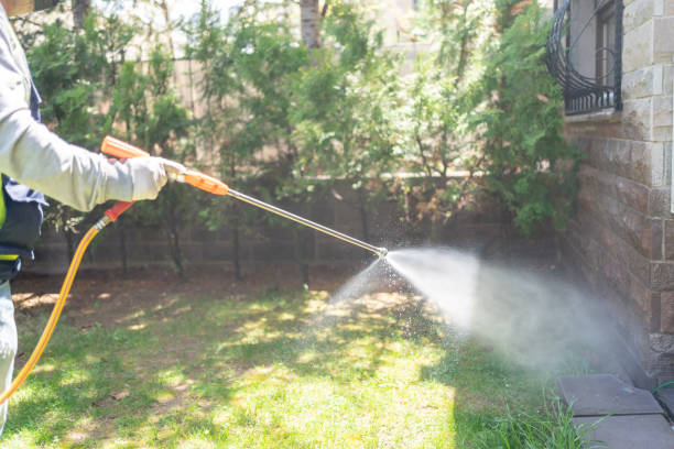 Daingerfield, TX Pest Control Company
