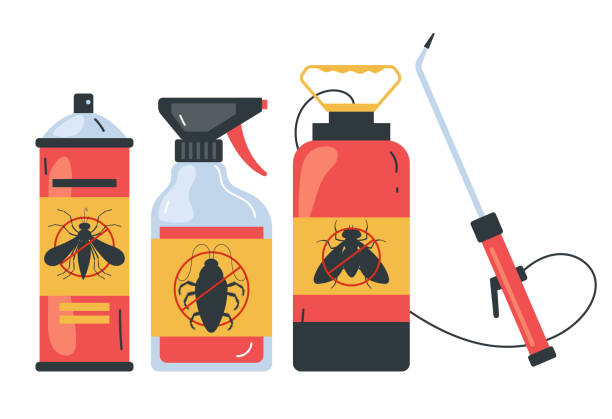 Best Pest Prevention Services  in Daingerfield, TX