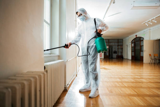Best Exterminator Services  in Daingerfield, TX